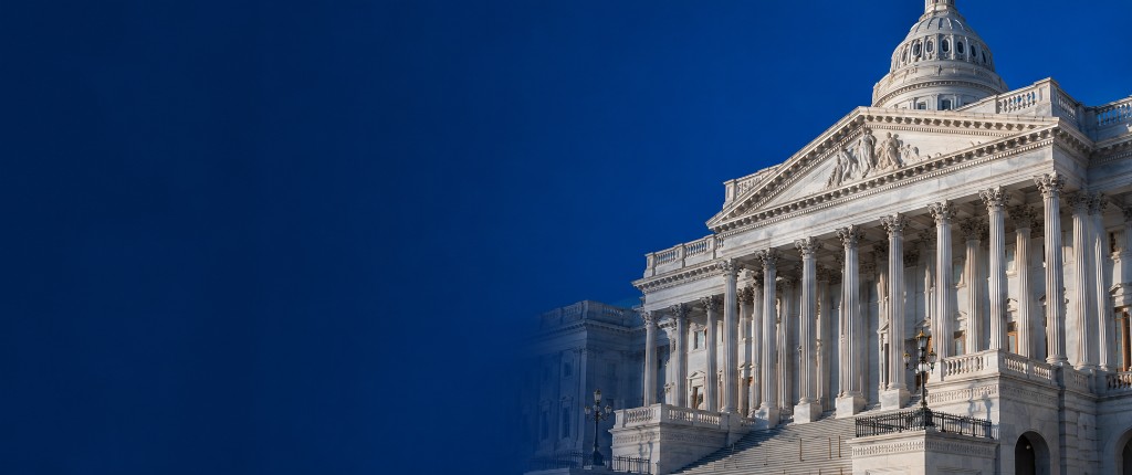 Government technology solutions for federal, state, and local agencies
